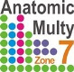 Пружинний блок Anatomic Multy Zone 7